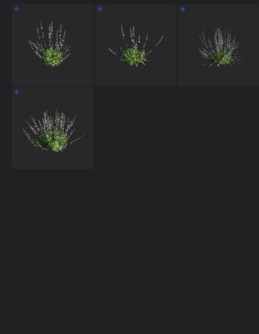 L2024.0 Update Library Models LargeTh3x4 Nature_09.jpg